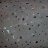 Hollogram Voile White - 