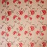 5605_40_PEONY.jpg